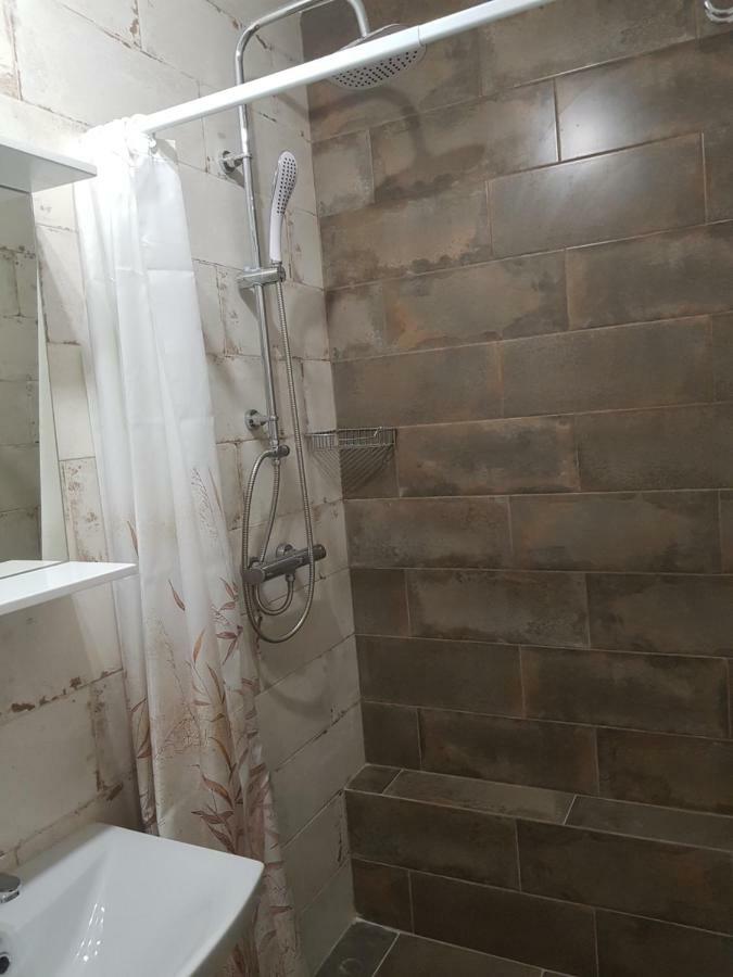 Silver Star Apartment 40m Uzjhorod Eksteriør bilde
